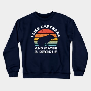 I Like Capybara and Maybe 3 People, Retro Vintage Sunset with Style Old Grainy Grunge Texture Crewneck Sweatshirt